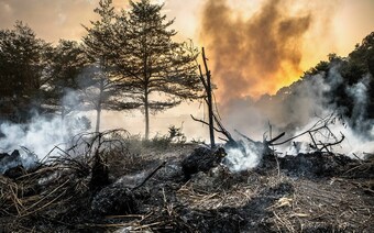 Оценка ущерба после стихийного бедствия в Ульяновске: отчет оценщика